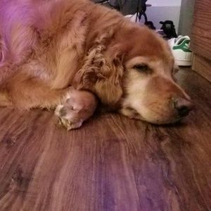 Meet your Posher, Francisco